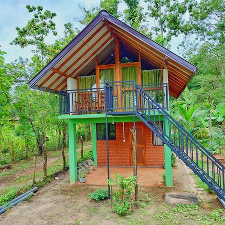 Sigiri Saat Cabana Sigiriya Ngoại thất bức ảnh