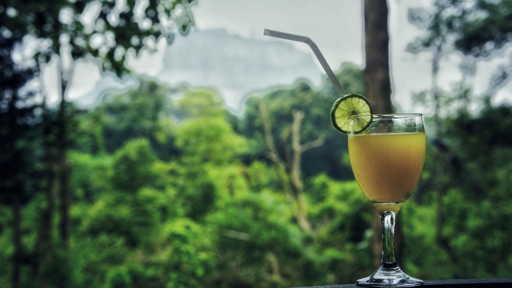 Sigiri Saat Cabana Sigiriya Ngoại thất bức ảnh