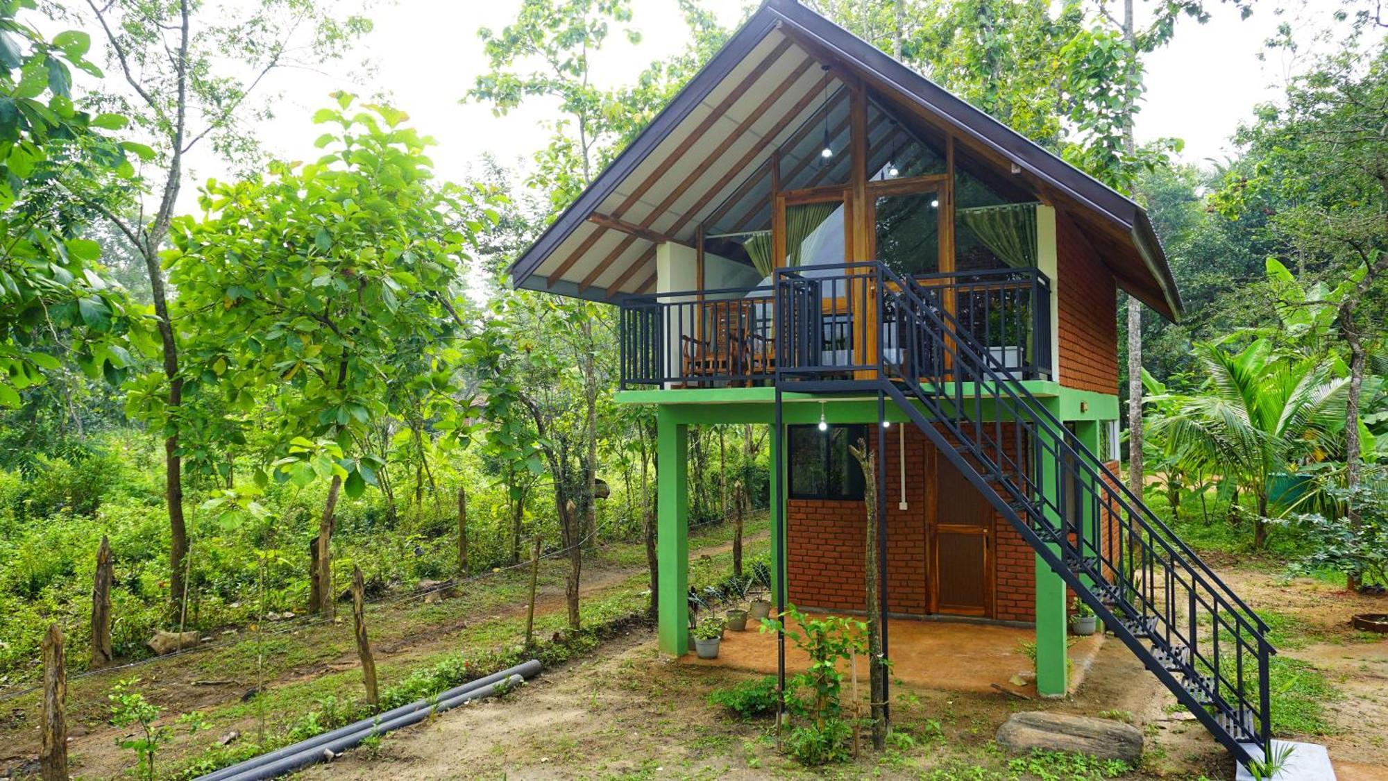 Sigiri Saat Cabana Sigiriya Ngoại thất bức ảnh