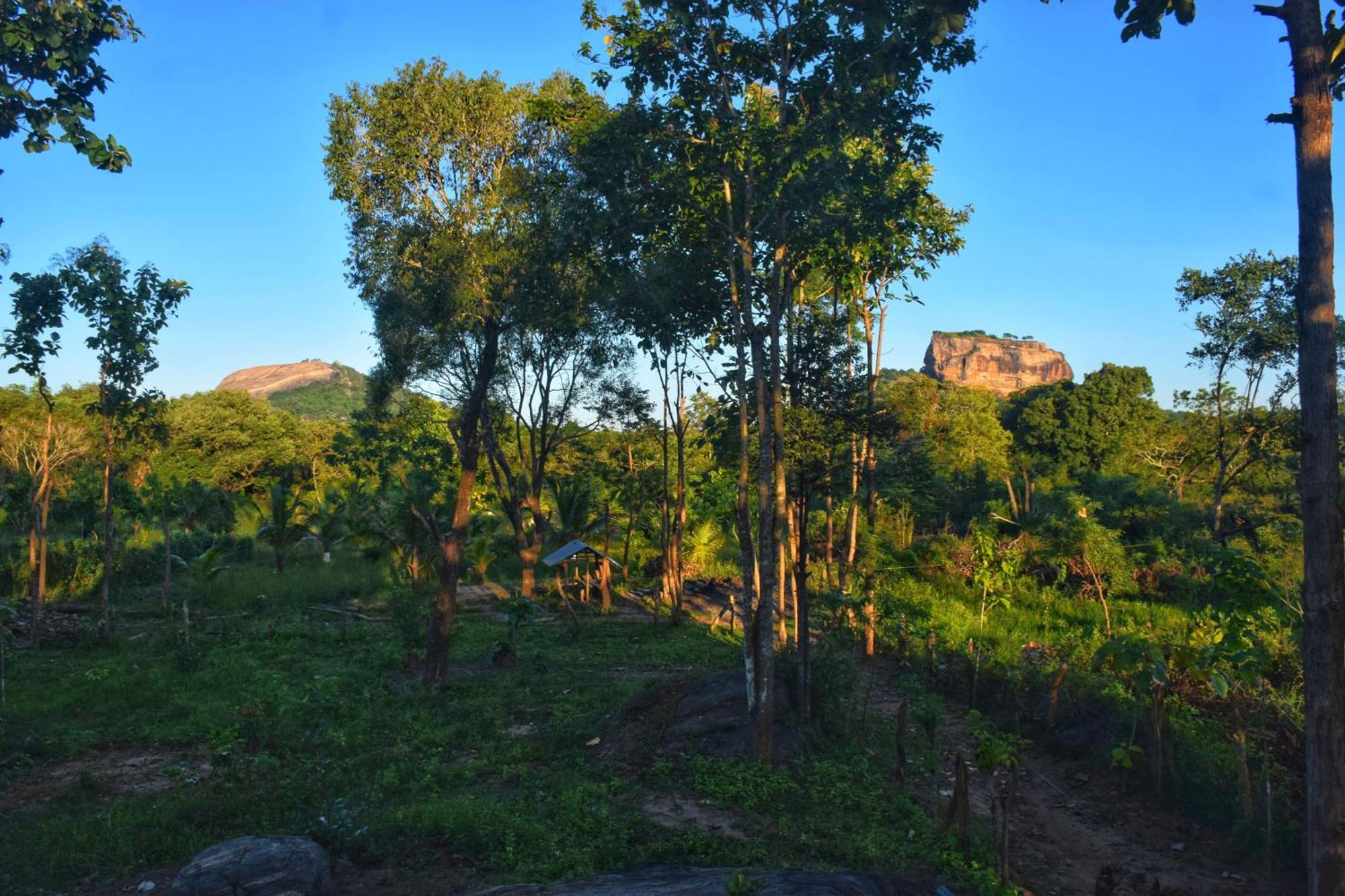 Sigiri Saat Cabana Sigiriya Ngoại thất bức ảnh
