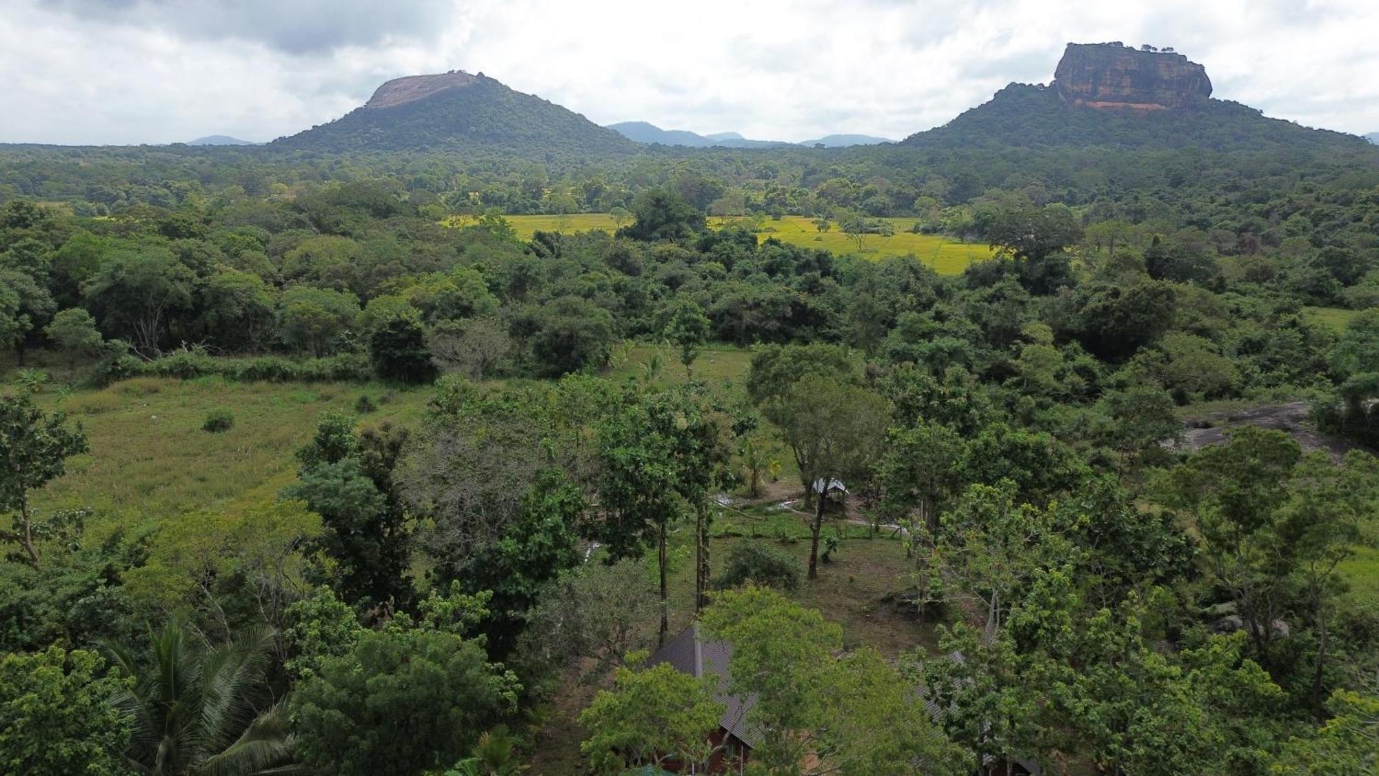 Sigiri Saat Cabana Sigiriya Ngoại thất bức ảnh
