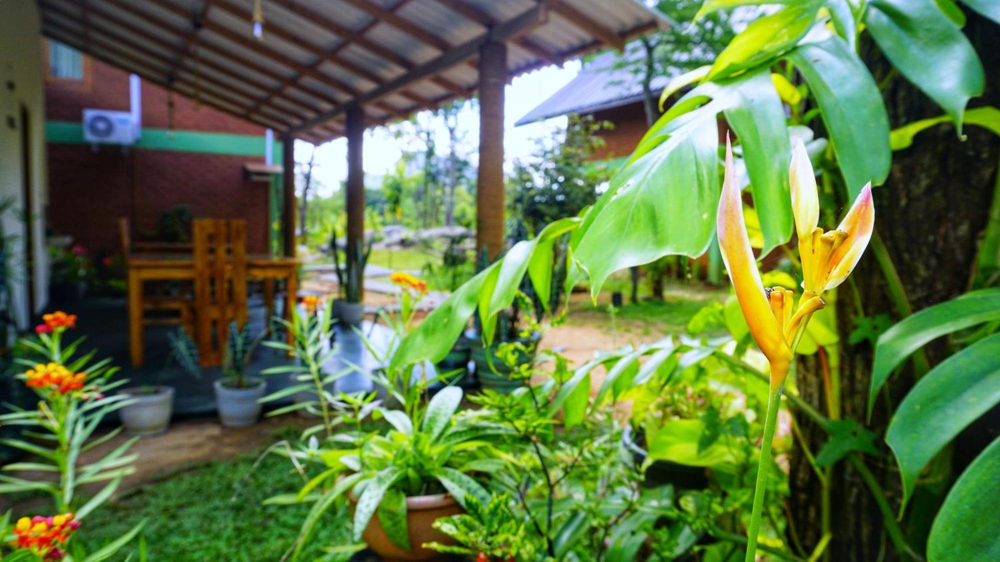 Sigiri Saat Cabana Sigiriya Ngoại thất bức ảnh